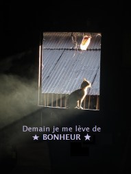 bonheur